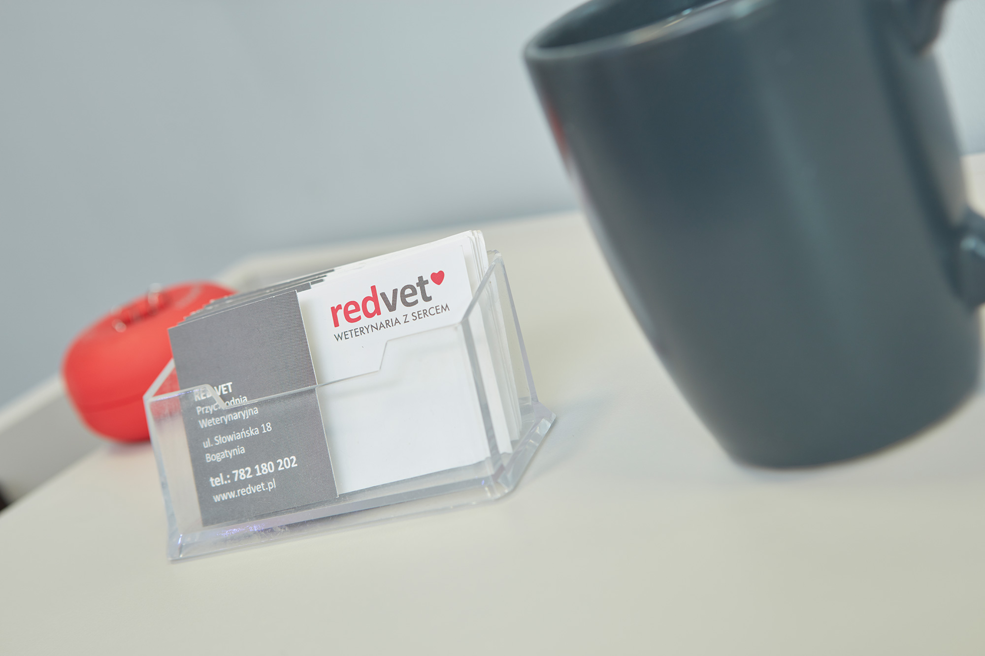 Redvet - Przychodnia Weterynaryjna w Bogatyni